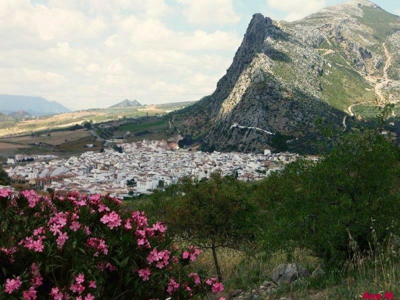 Ferienwohnung Casaenmedio Valle de Abdalagís Exterior foto